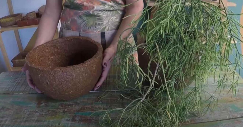 23 классных идеи как сделать цветочный горшок